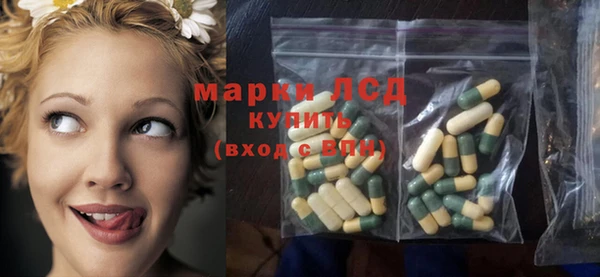 шишки Белоозёрский