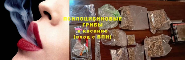 гидропоника Белокуриха