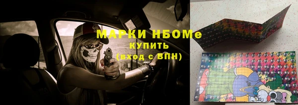 шишки Белоозёрский