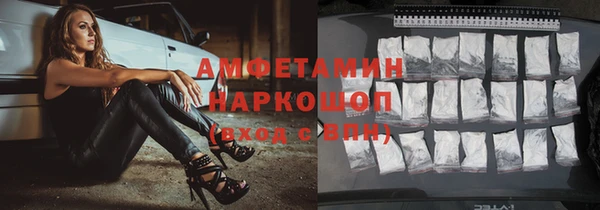 шишки Белоозёрский