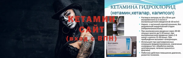 шишки Белоозёрский