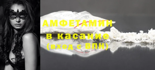 шишки Белоозёрский