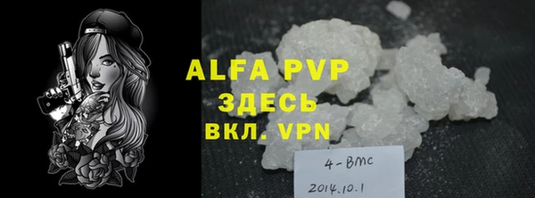 шишки Белоозёрский