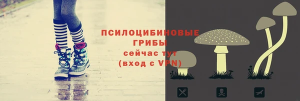 шишки Белоозёрский