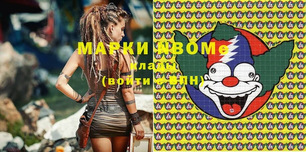 шишки Белоозёрский