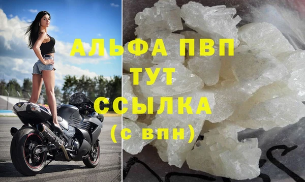 шишки Белоозёрский