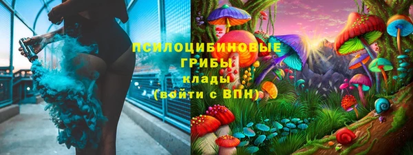 гидропоника Белокуриха