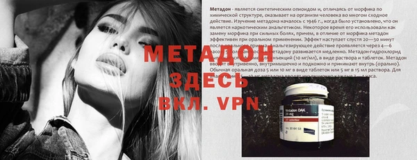 шишки Белоозёрский