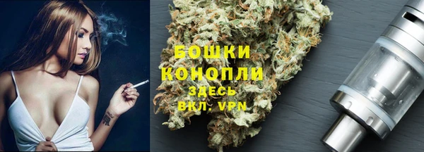 гидропоника Белокуриха