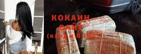 шишки Белоозёрский
