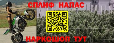амф Дубна
