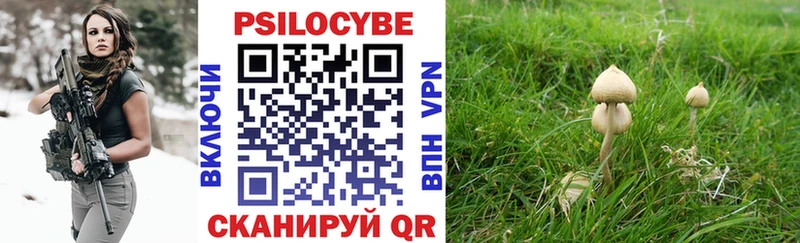 Галлюциногенные грибы Psilocybe  Соль-Илецк 