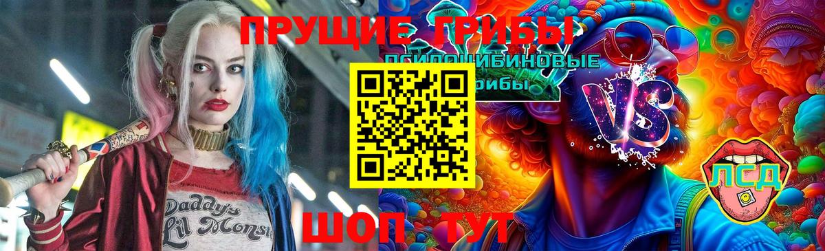 Соль-Илецк  Галлюциногенные грибы MAGIC MUSHROOMS  Вход с VPN 