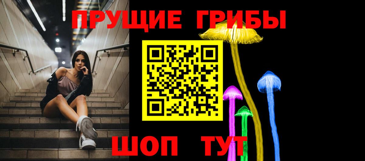 Псилоцибиновые грибы Psilocybe Соль-Илецк